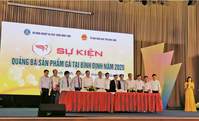 quảng bá sản phẩm gà tại bình định 2020