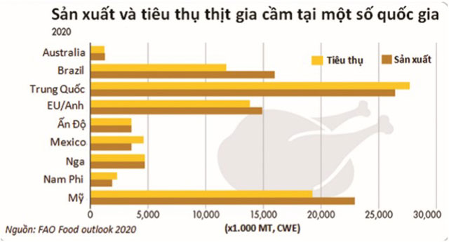 sản lượng thịt gia cầm 2020