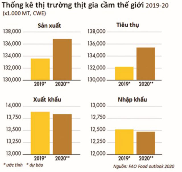 thị trường gia cầm thế giới 2020