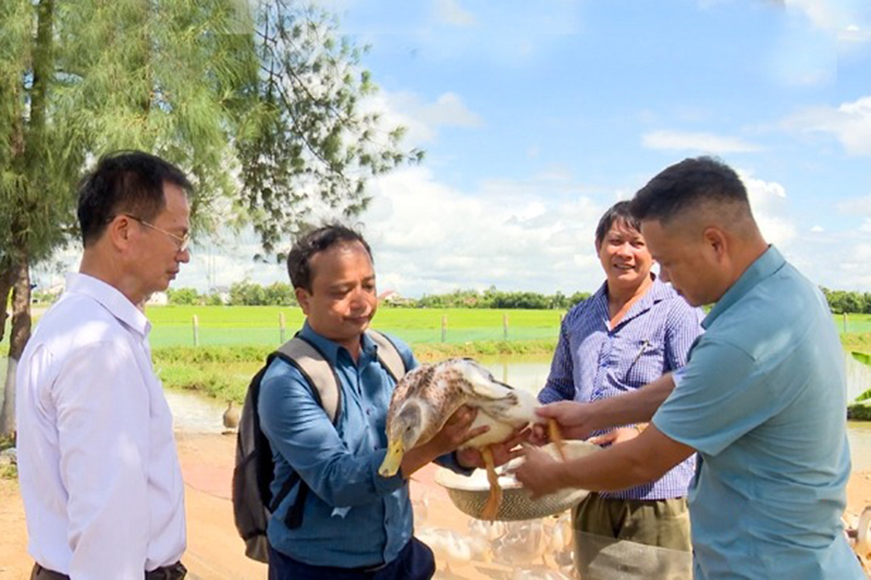 nuôi vịt biển hà tĩnh